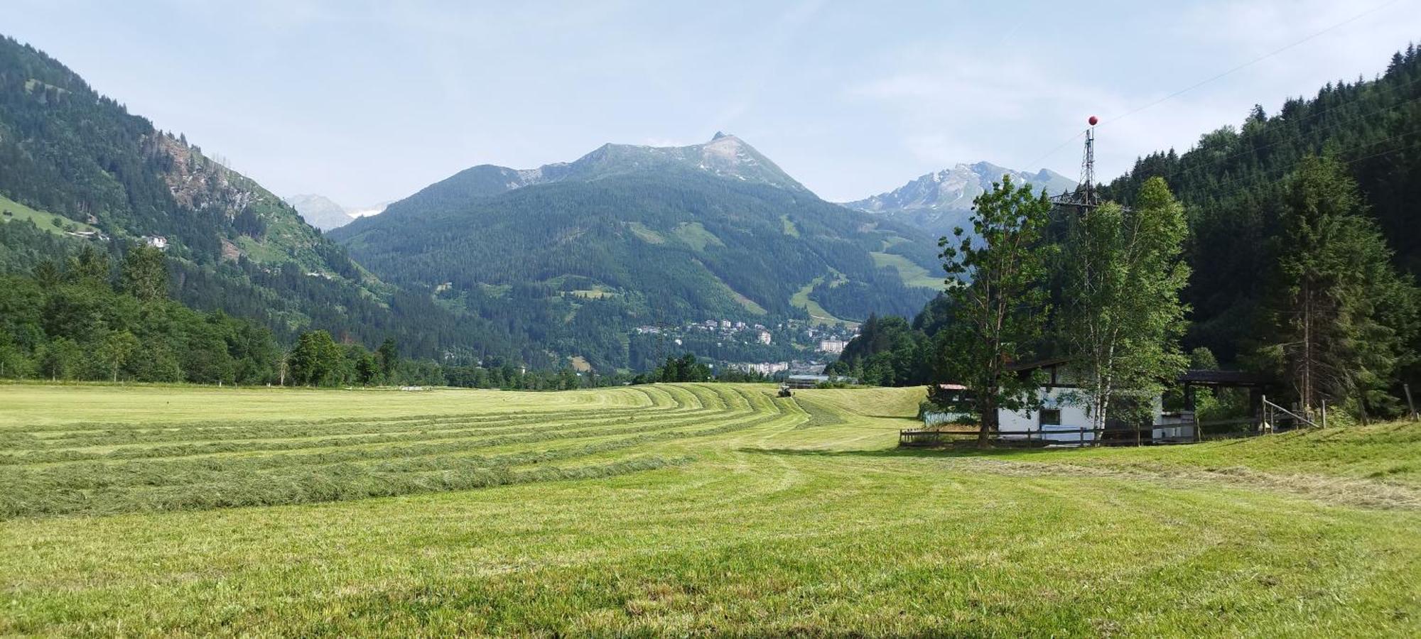Bio Bauernhof Schweizerhof Villa Bad Hofgastein Exterior foto